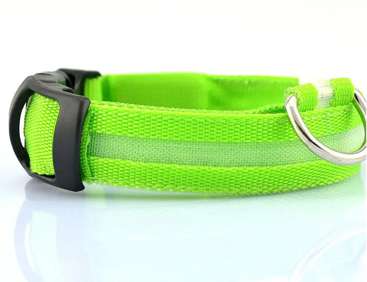 LED Dog Safety Collar – Night Glow